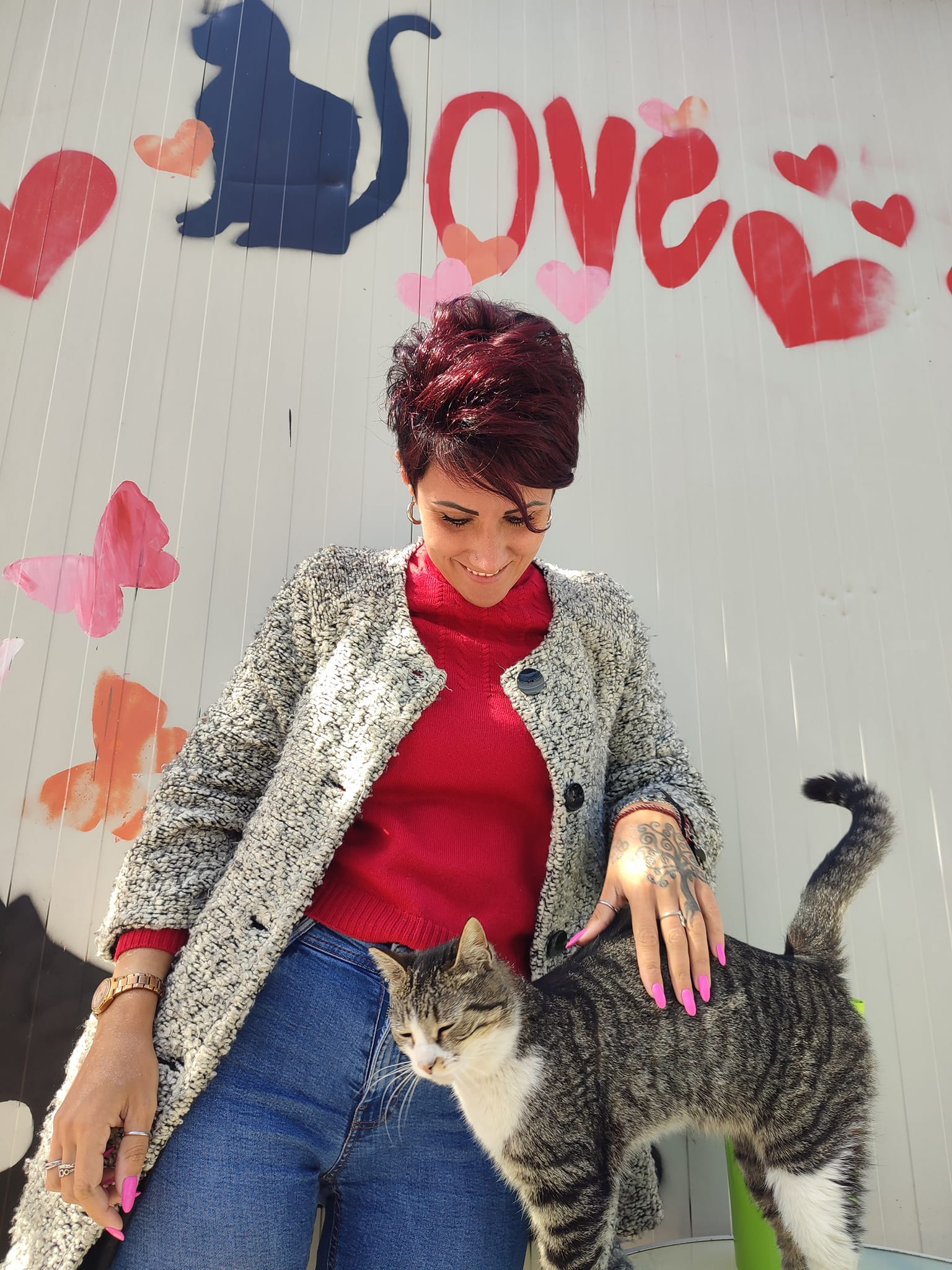 Empatia Felina