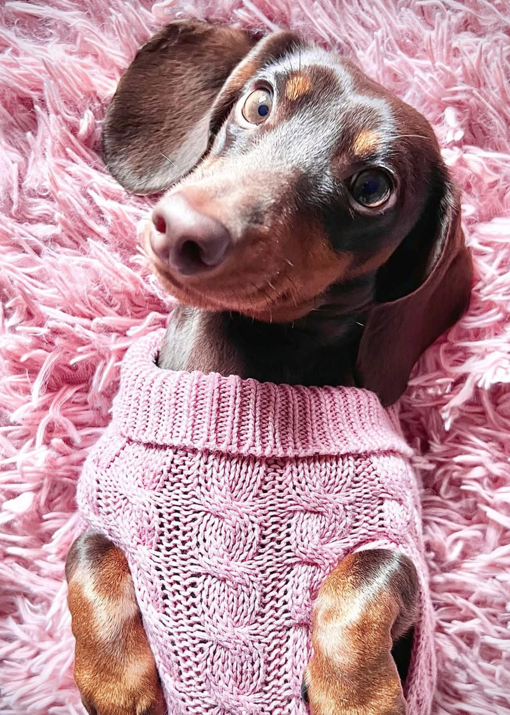 Franca