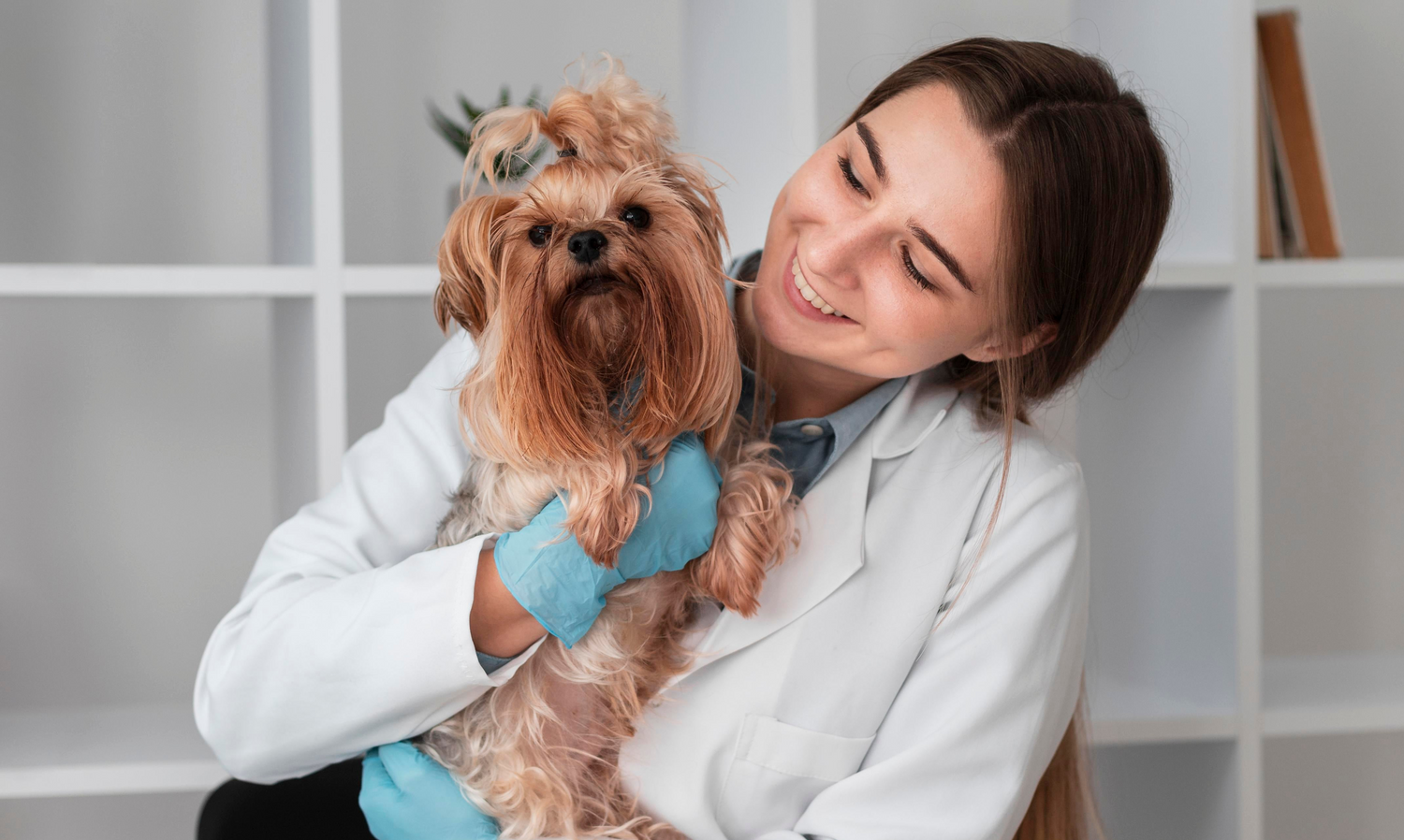 Veterinaria